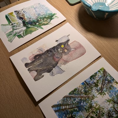 Watercolors